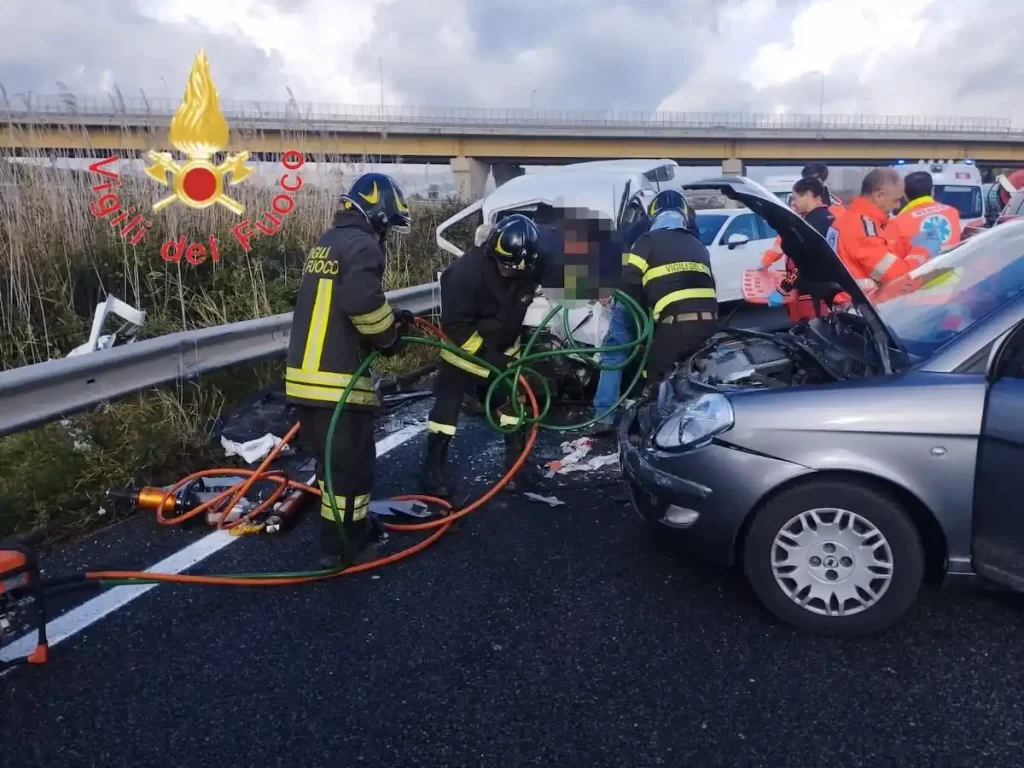 WhatsApp Image 2024 11 14 at 09.34.46