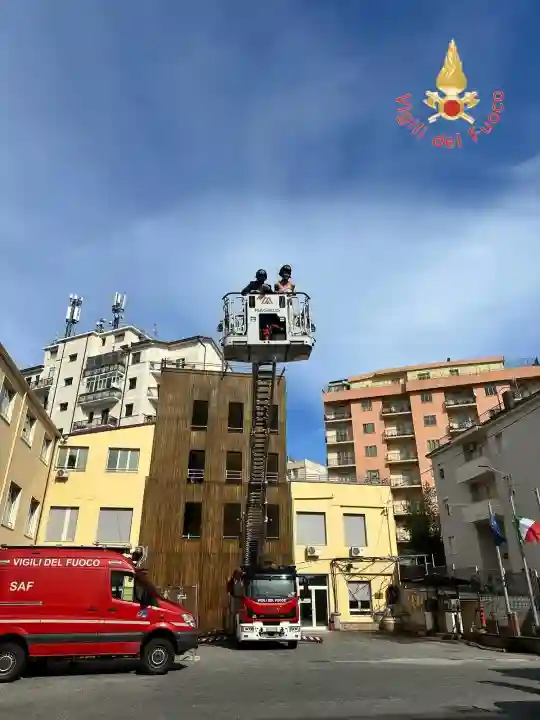 WhatsApp Image 2025 02 14 at 17.42.37 2