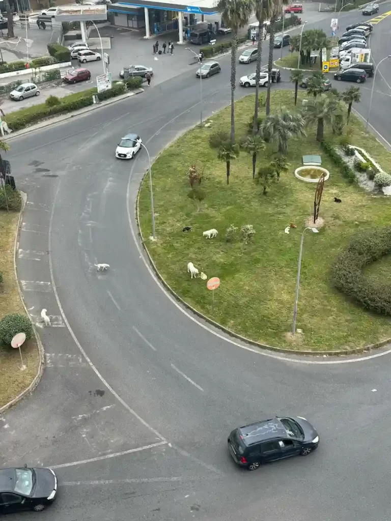 WhatsApp Image 2025 04 17 at 10.25.51