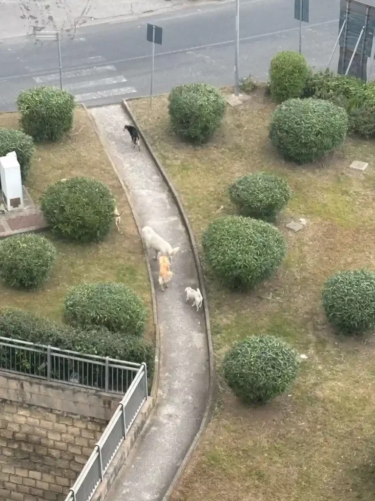 WhatsApp Image 2025 04 17 at 10.25.52 1