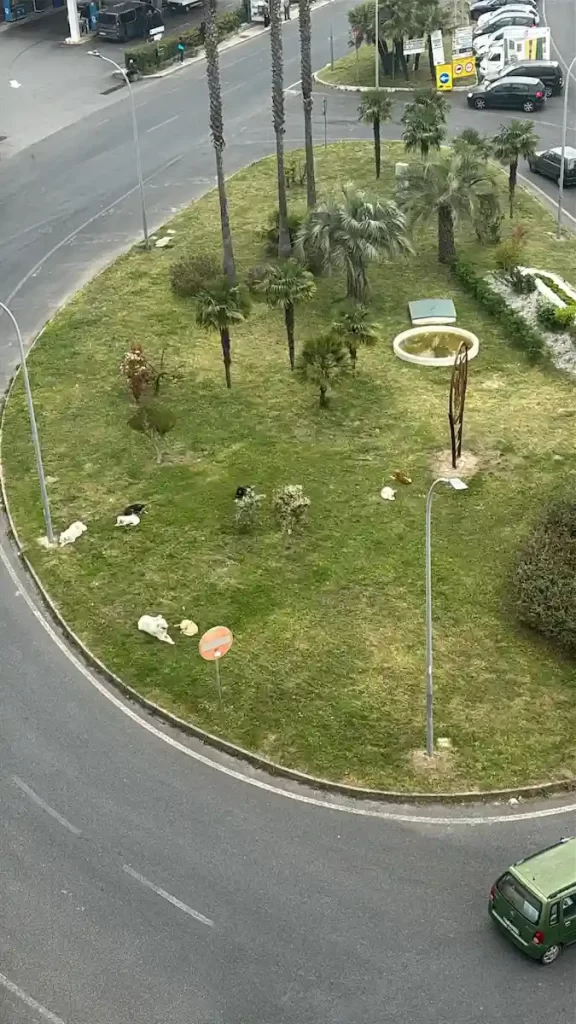 WhatsApp Image 2025 04 17 at 10.25.52