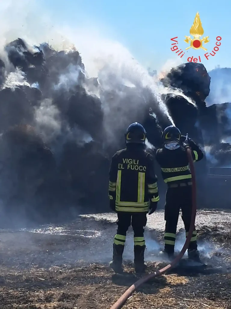 WhatsApp Image 2025 07 08 at 11.04.12