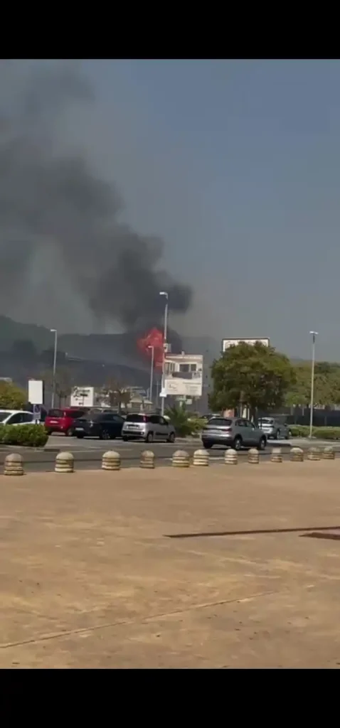 WhatsApp Image 2025 07 25 at 17.31.45 1