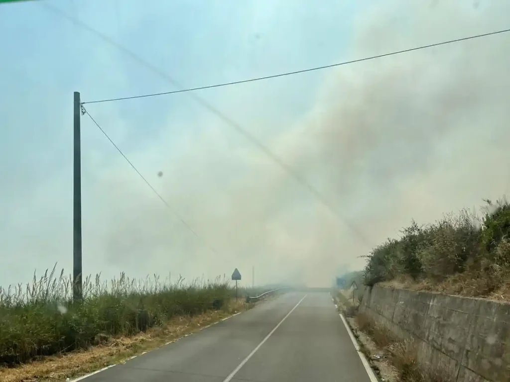 WhatsApp Image 2025 07 25 at 17.31.46