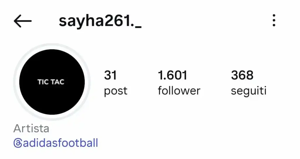 seha profilo instagram 1