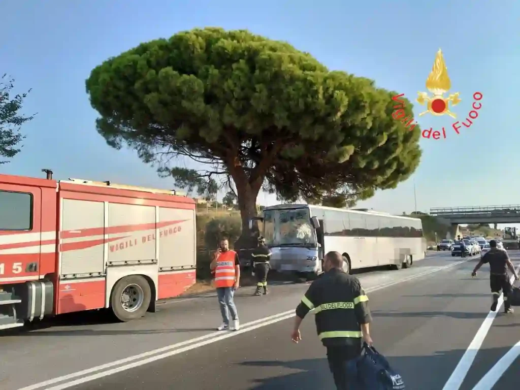 WhatsApp Image 2025 09 24 at 08.59.09