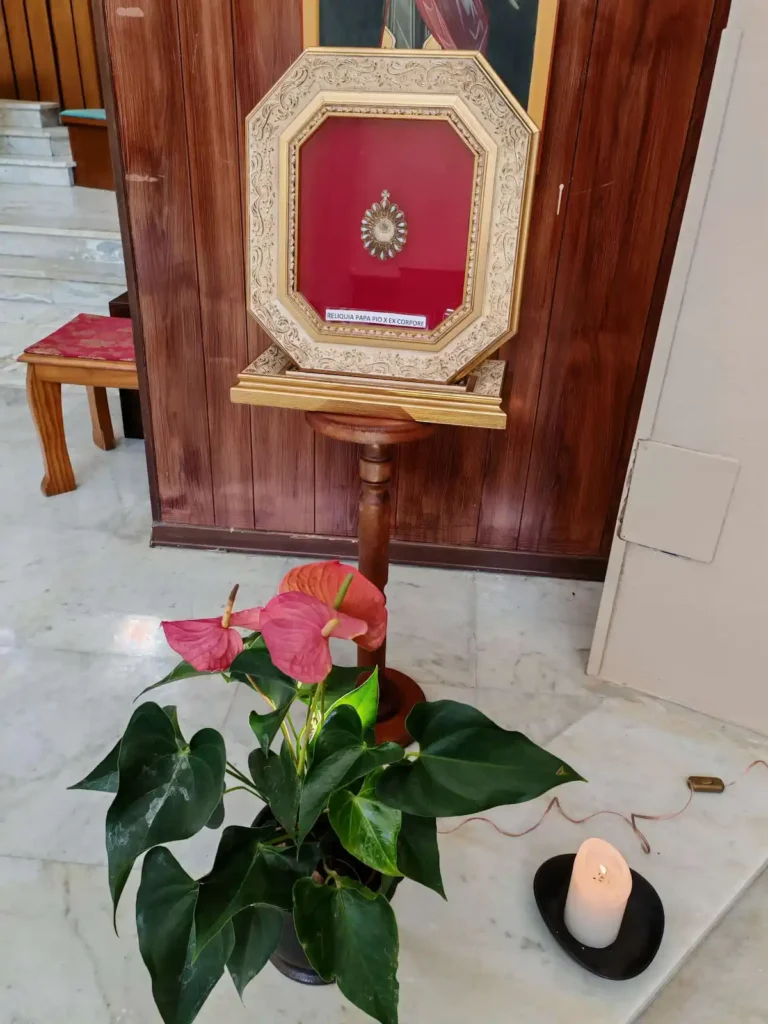 WhatsApp Image 2025 10 26 at 12.05.06 1