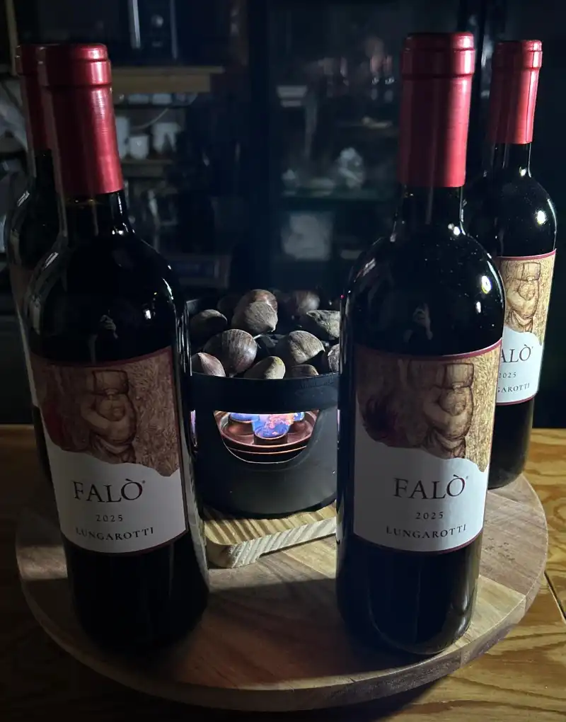 WhatsApp Image 2025 11 26 at 19.54.29