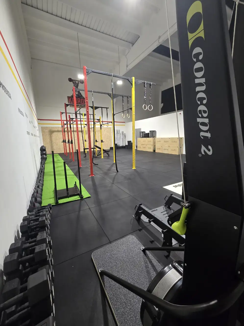 WhatsApp Image 2026 02 10 at 07.56.25 1