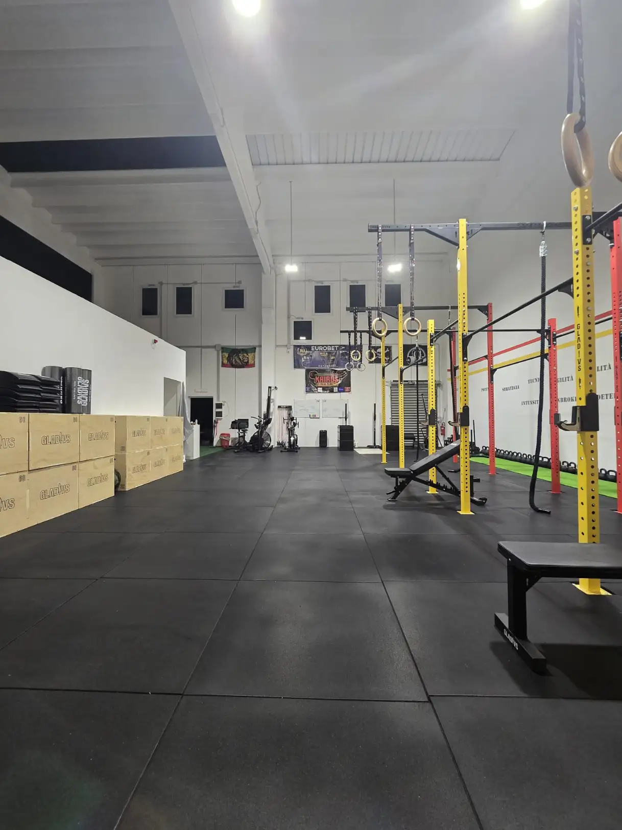 WhatsApp Image 2026 02 10 at 07.56.25 6