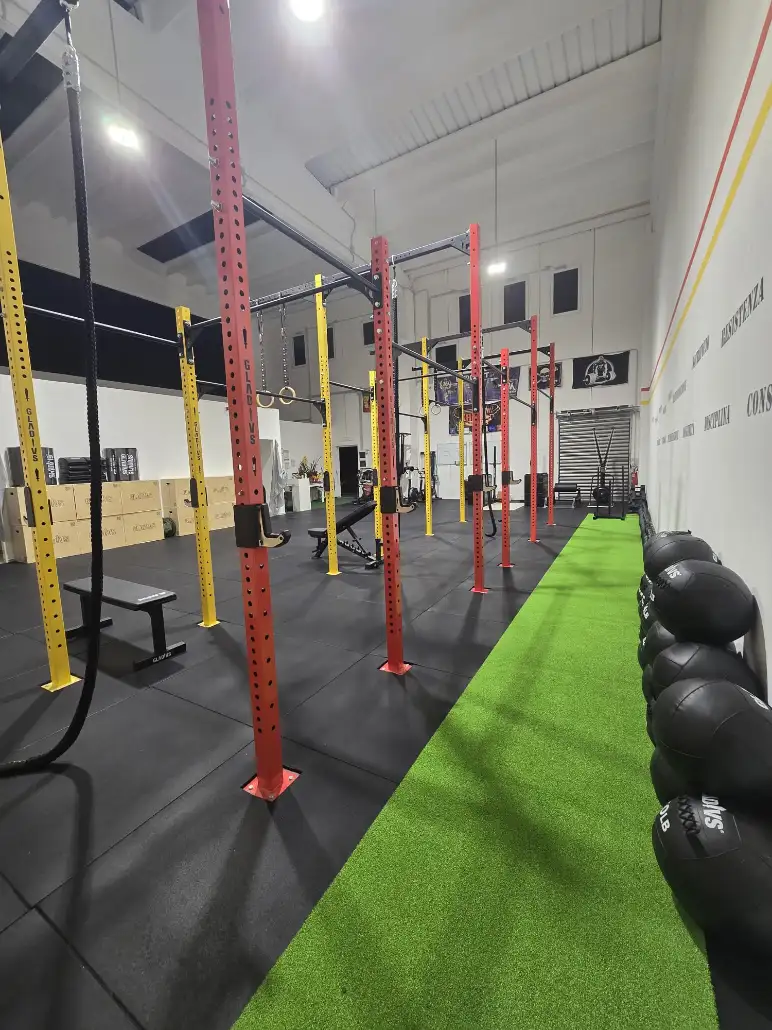 WhatsApp Image 2026 02 10 at 07.56.25