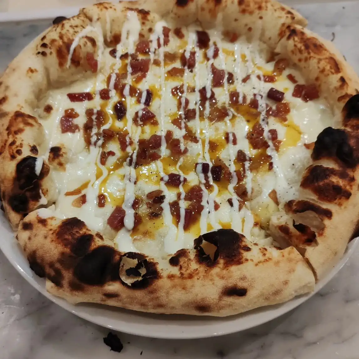 WhatsApp Image 2026 02 26 at 11.58.29 2