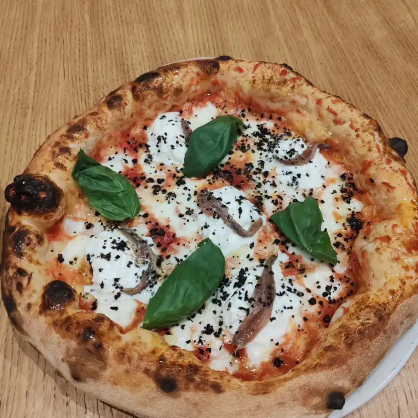 WhatsApp Image 2026 02 26 at 11.58.29 3