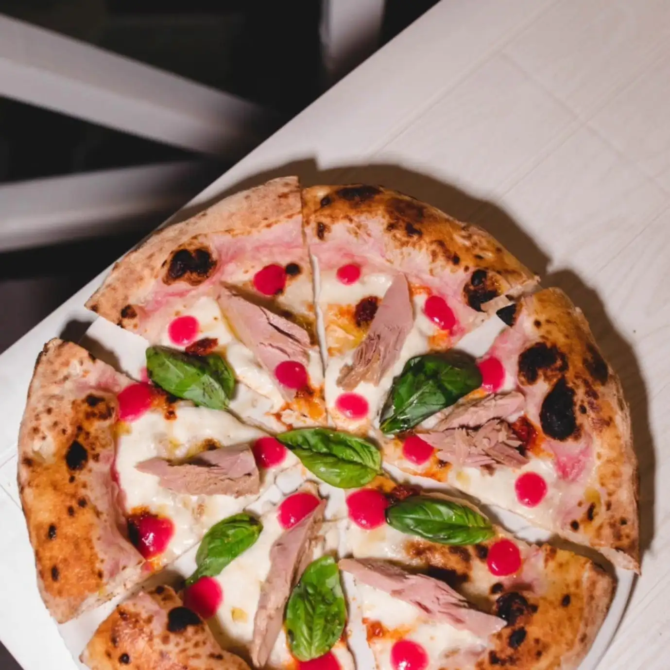 WhatsApp Image 2026 02 26 at 11.58.29 4