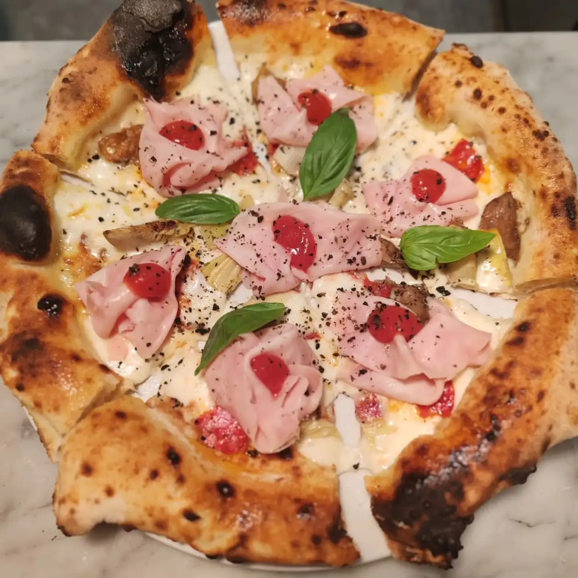 WhatsApp Image 2026 02 26 at 11.58.29 7