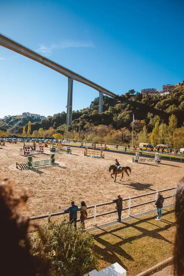 WhatsApp Image 2026 03 21 at 16.22.50 1