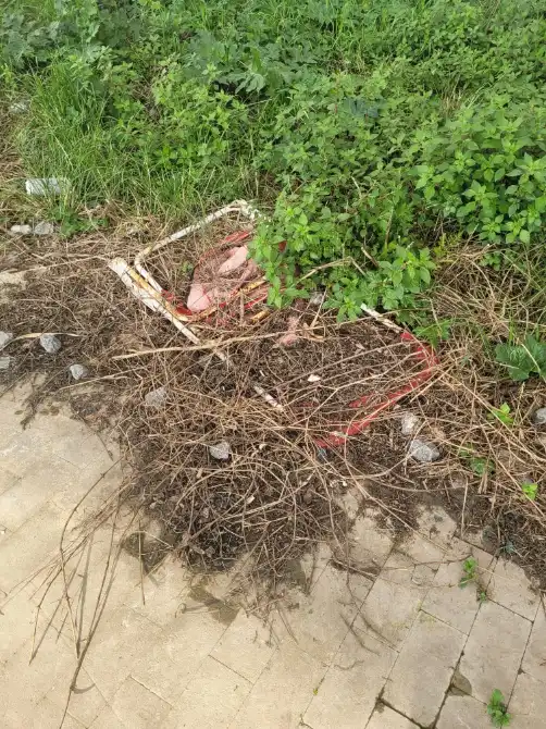 WhatsApp Image 2026 03 24 at 17.31.19