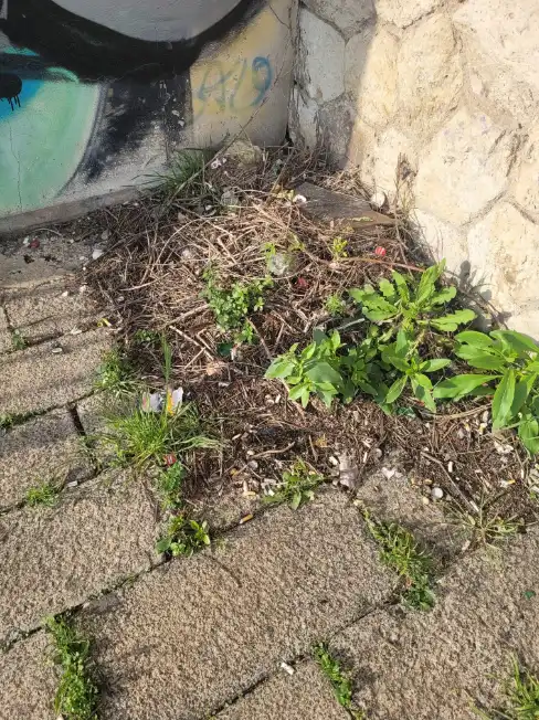 WhatsApp Image 2026 03 24 at 17.31.20 1