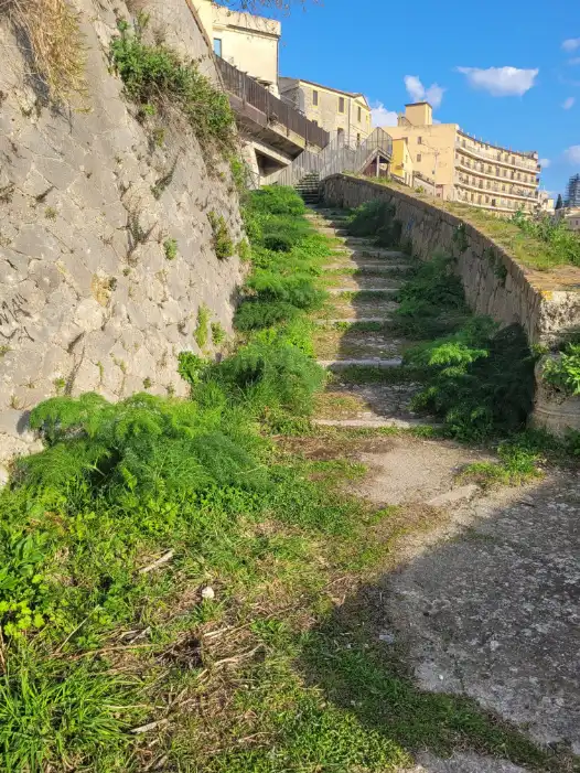 WhatsApp Image 2026 03 24 at 17.31.21